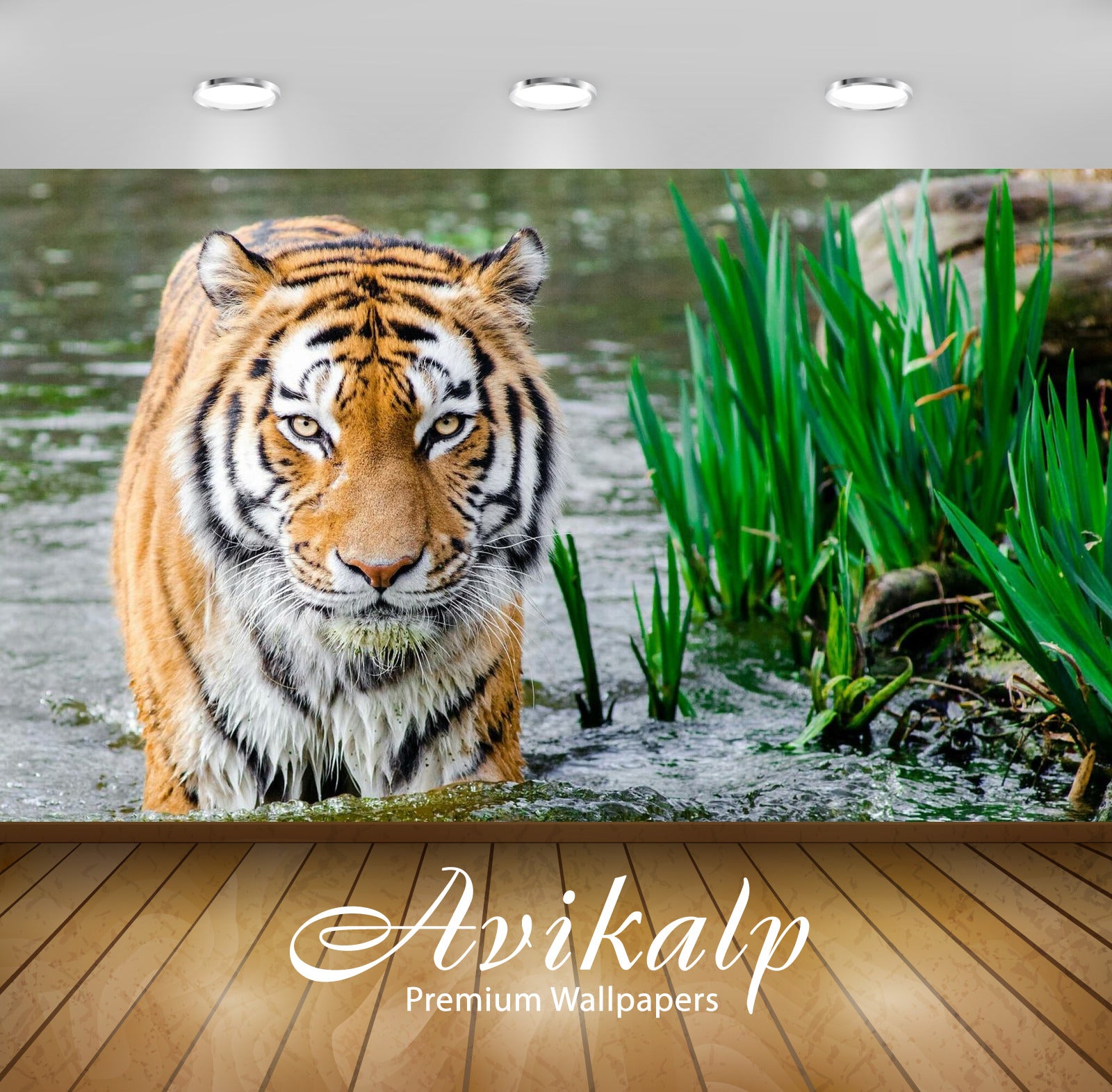 Bengal Tiger 3D wallpaper HD wallpaper