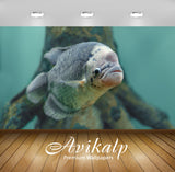 Avikalp Exclusive Fish AWI1123 HD Wallpapers for Living room, Hall, Kids Room, Kitchen, TV Backgroun