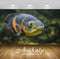 Avikalp Exclusive Fish AWI1127 HD Wallpapers for Living room, Hall, Kids Room, Kitchen, TV Backgroun