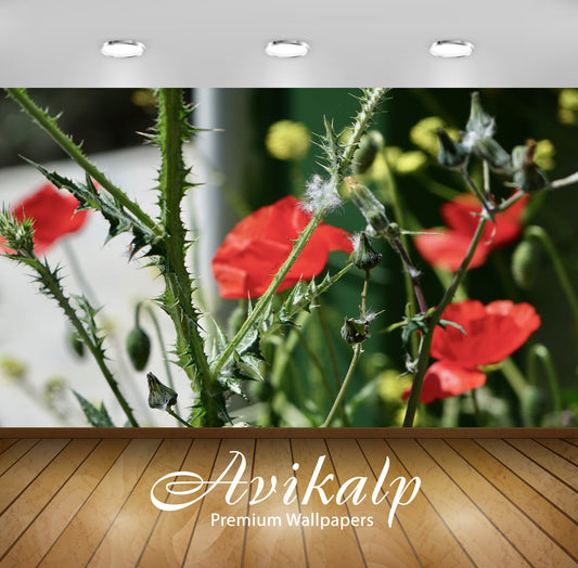 Avikalp Exclusive Premium flower HD Wallpapers for Living room, Hall, Kids Room, Kitchen, TV Backgro