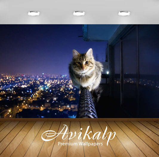 Avikalp Exclusive Funny Cat AWI1132 HD Wallpapers for Living room, Hall, Kids Room, Kitchen, TV Back