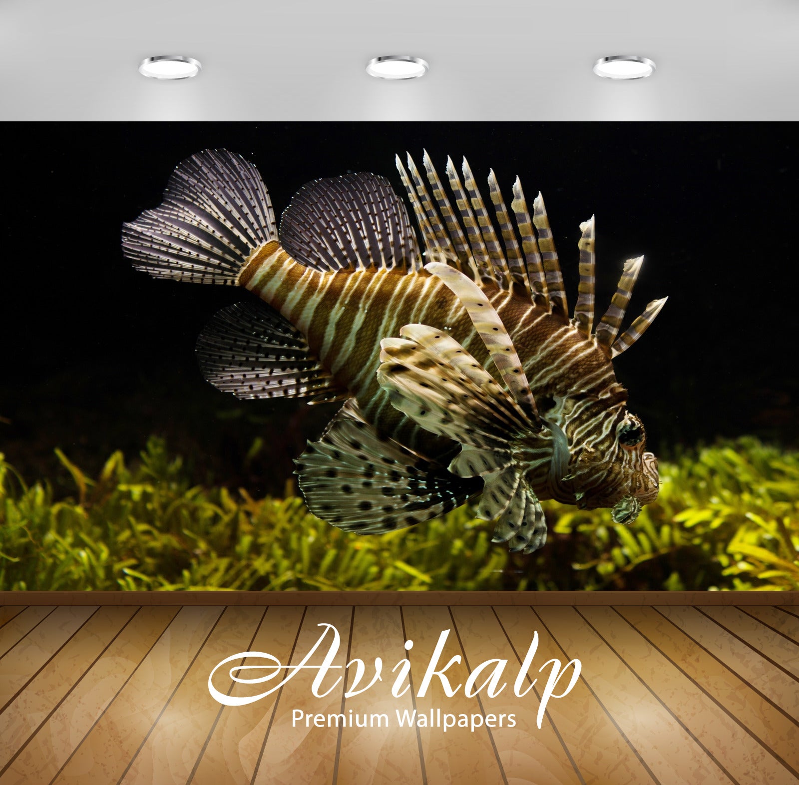 Avikalp Exclusive Lionfish AWI1152 HD Wallpapers for Living room, Hall, Kids Room, Kitchen, TV Backg