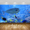 Avikalp Exclusive Nose Doctor Fish AWI1169 HD Wallpapers for Living room, Hall, Kids Room, Kitchen,