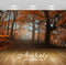 Avikalp Exclusive Scenery Autumn AWI1185 HD Wallpapers for Living room, Hall, Kids Room, Kitchen, TV