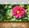 Avikalp Exclusive Premium flowers HD Wallpapers for Living room, Hall, Kids Room, Kitchen, TV Backgr