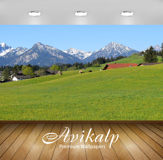 Avikalp Exclusive Premium germany HD Wallpapers for Living room, Hall, Kids Room, Kitchen, TV Backgr