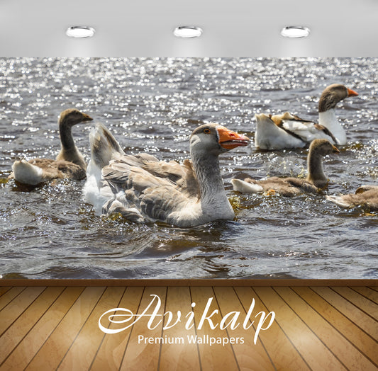 Avikalp Exclusive Premium goose HD Wallpapers for Living room, Hall, Kids Room, Kitchen, TV Backgrou