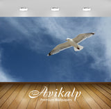 Avikalp Exclusive Premium gull HD Wallpapers for Living room, Hall, Kids Room, Kitchen, TV Backgroun