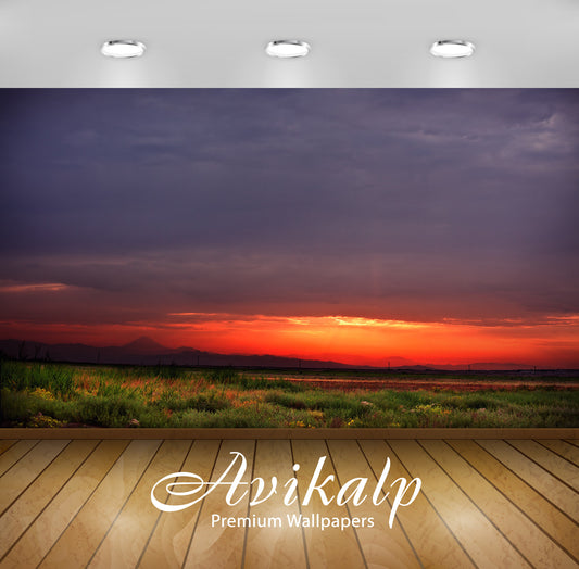 Avikalp Exclusive Awi1442 Sunset Nature View Full HD Wallpapers for Living room, Hall, Kids Room, Ki