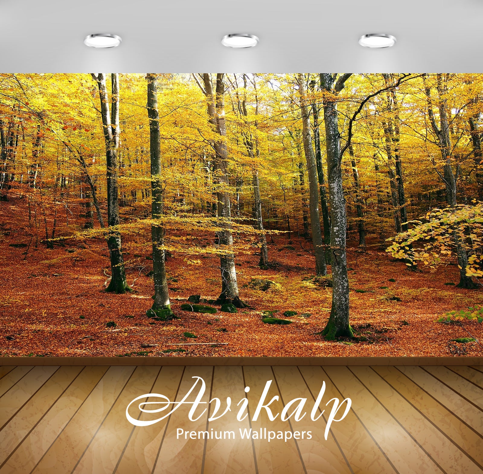 Avikalp Exclusive Premium beech HD Wallpapers for Living room, Hall, Kids Room, Kitchen, TV Backgrou