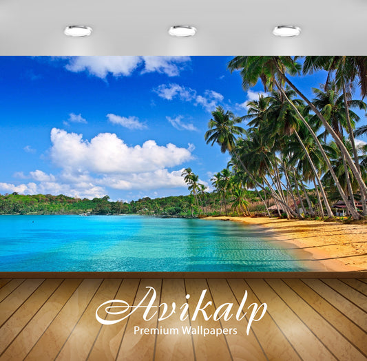 Avikalp Exclusive Awi1561 Amazing Beach View Full HD Wallpapers for Living room, Hall, Kids Room, Ki