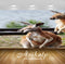 Avikalp Exclusive Premium kangaroo HD Wallpapers for Living room, Hall, Kids Room, Kitchen, TV Backg