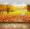 Avikalp Exclusive Awi1634 Beautiful Autumn Scenery Full HD Wallpapers for Living room, Hall, Kids Ro