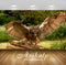 Avikalp Exclusive Awi1725 Owl Full HD Wallpapers for Living room, Hall, Kids Room, Kitchen, TV Backg