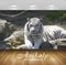 Avikalp Exclusive Awi1822 Tiger Full HD Wallpapers for Living room, Hall, Kids Room, Kitchen, TV Bac