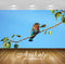 Avikalp Exclusive Premium bird HD Wallpapers for Living room, Hall, Kids Room, Kitchen, TV Backgroun