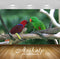 Avikalp Exclusive Awi1912 Birds Full HD Wallpapers for Living room, Hall, Kids Room, Kitchen, TV Bac