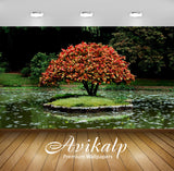 Avikalp Exclusive Awi1924 Red Tree In The Lake Full HD Wallpapers for Living room, Hall, Kids Room,