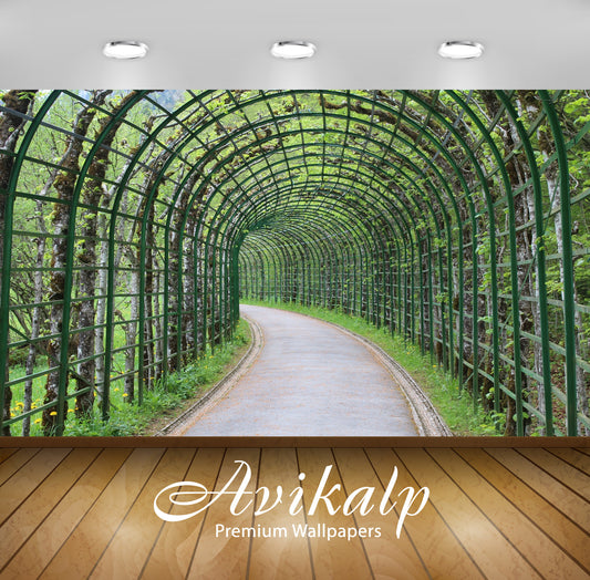 Avikalp Exclusive Premium linderhof HD Wallpapers for Living room, Hall, Kids Room, Kitchen, TV Back