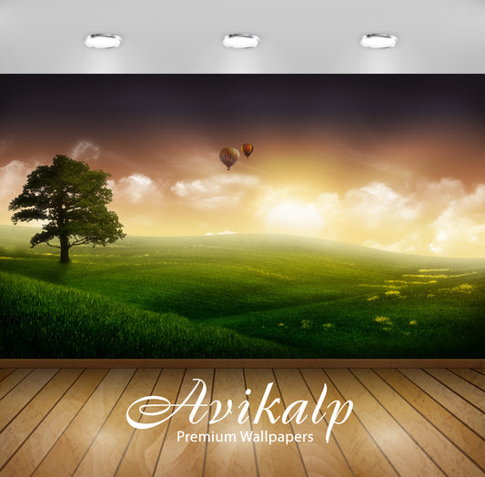 Avikalp Exclusive Awi2011 Nature Landscape Tree Hot Air Balloon Full HD Wallpapers for Living room,