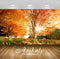 Avikalp Exclusive Awi2012 Beautiful Autumn Yellow Tree Sunrays Full HD Wallpapers for Living room, H