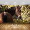 Avikalp Exclusive Awi2040 Brown Horse  Full HD Wallpapers for Living room, Hall, Kids Room, Kitchen,