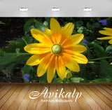 Avikalp Exclusive Awi2240 Rudbeckia hirta Irish Eyes Full HD Wallpapers for Living room, Hall, Kids