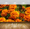 Avikalp Exclusive Premium orange HD Wallpapers for Living room, Hall, Kids Room, Kitchen, TV Backgro