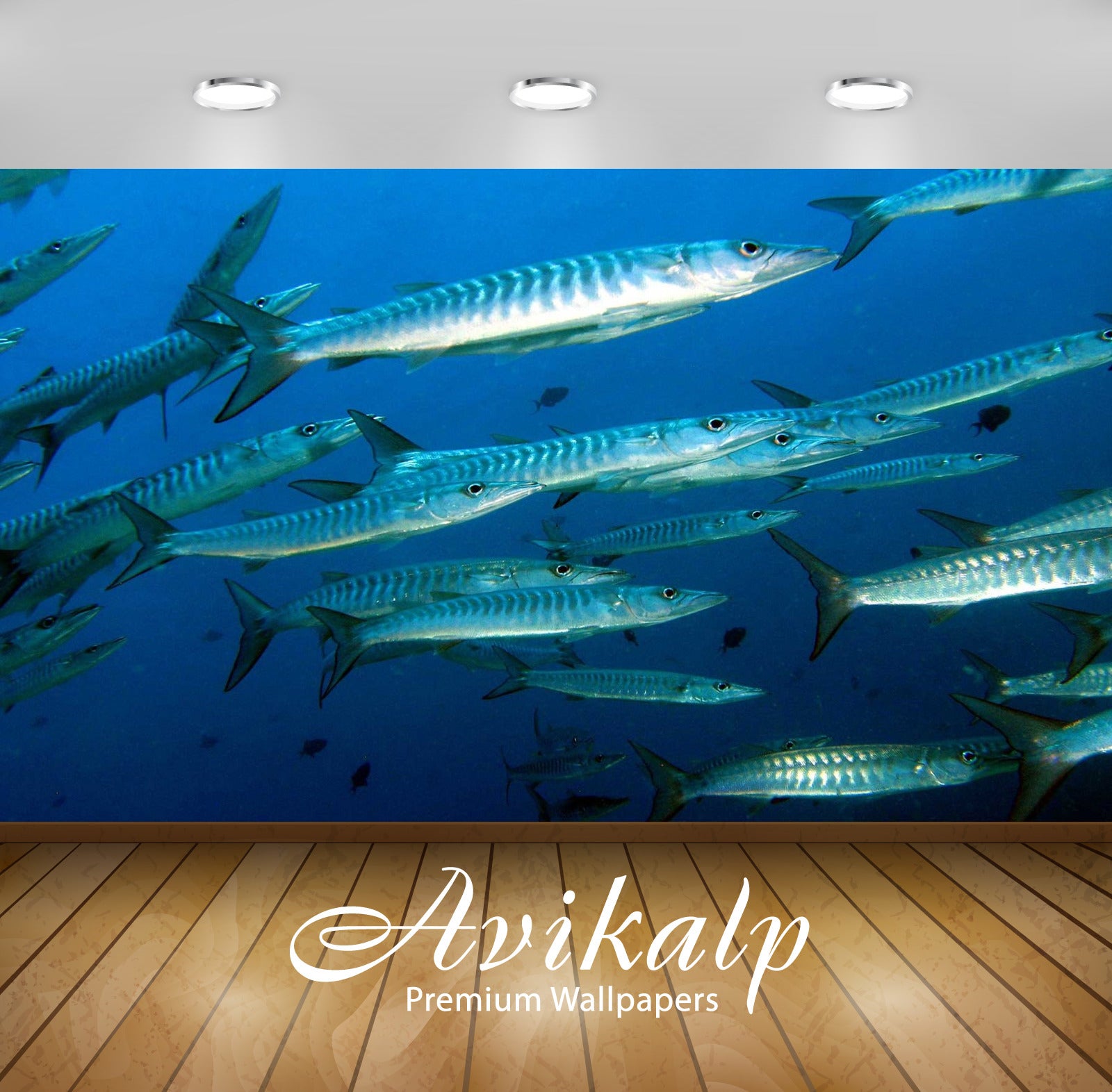 Avikalp Exclusive Awi2410 Baraccuda Raja Ampat 2 Full HD Wallpapers for Living room, Hall, Kids Room