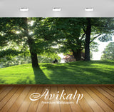 Avikalp Exclusive Premium park HD Wallpapers for Living room, Hall, Kids Room, Kitchen, TV Backgroun