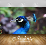 Avikalp Exclusive Premium peacock HD Wallpapers for Living room, Hall, Kids Room, Kitchen, TV Backgr