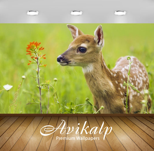 Avikalp Exclusive Awi2616 Fawn Full HD Wallpapers for Living room, Hall, Kids Room, Kitchen, TV Back