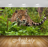 Avikalp Exclusive Awi2738 Jaguar World Of Wild Animals Full HD Wallpapers for Living room, Hall, Kid