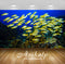 Avikalp Exclusive Awi2808 Lutjanus Quinquelineatus Fish Full HD Wallpapers for Living room, Hall, Ki