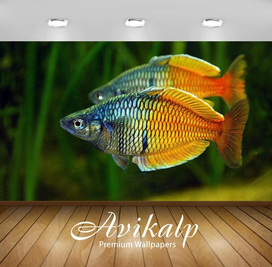 Aquarium 3d Fish Wallpaper at Rs 90/sq ft in Chennai