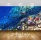 Avikalp Exclusive Awi2878 Ocean Seabed Reef Exotic Marine Fish Full HD Wallpapers for Living room, H