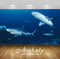 Avikalp Exclusive Awi2880 Ocean Seabed Shark Fish Full HD Wallpapers for Living room, Hall, Kids Roo