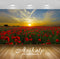 Avikalp Exclusive Awi2890 Orange Sunset Field With Red Poppies Nature Summer Landscape Full HD Wallp