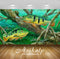 Avikalp Exclusive Awi2898 Peacock Bass Fishing On Canvas Full HD Wallpapers for Living room, Hall, K