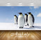 Avikalp Exclusive Awi2900 Penguins Morning Sun Antarctica Full HD Wallpapers for Living room, Hall,