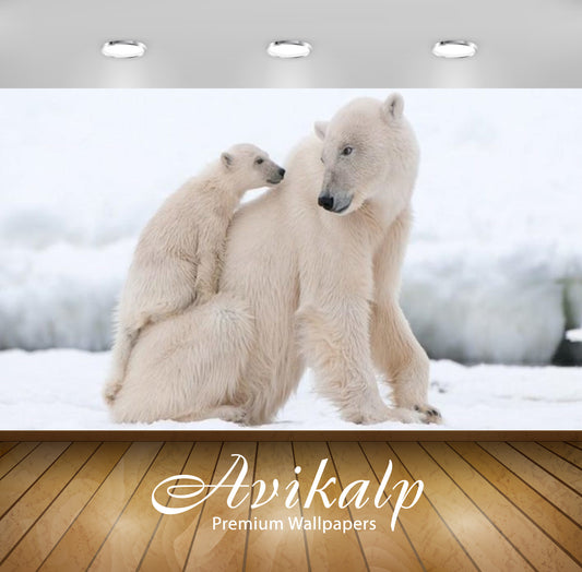 Avikalp Exclusive Awi2913 Polar Bear Cub Tired Climbing The Back Of His Mother Full HD Wallpapers fo