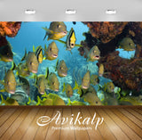 Avikalp Exclusive Awi2991 Sea Fish And Coral Reefs Full HD Wallpapers for Living room, Hall, Kids Ro