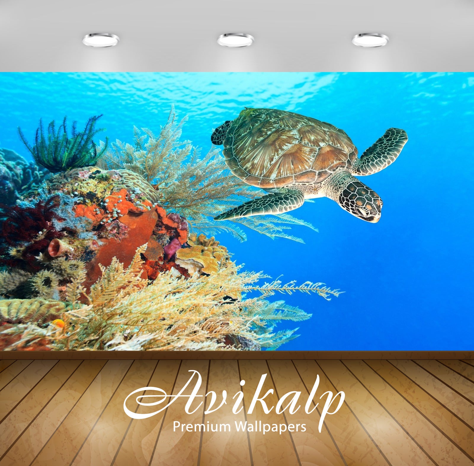 Avikalp Exclusive Awi2999 Seabed Water Coral Reef With Coral Water Turtle Full HD Wallpapers for Liv