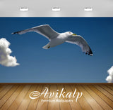 Avikalp Exclusive Awi3000 Seagull Flight Among The Clouds Full HD Wallpapers for Living room, Hall,