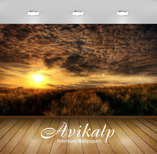 Avikalp Exclusive Awi3079 Sunset Field With Dry Grass Sunlight Sky With Dark Clouds Full HD Wallpape