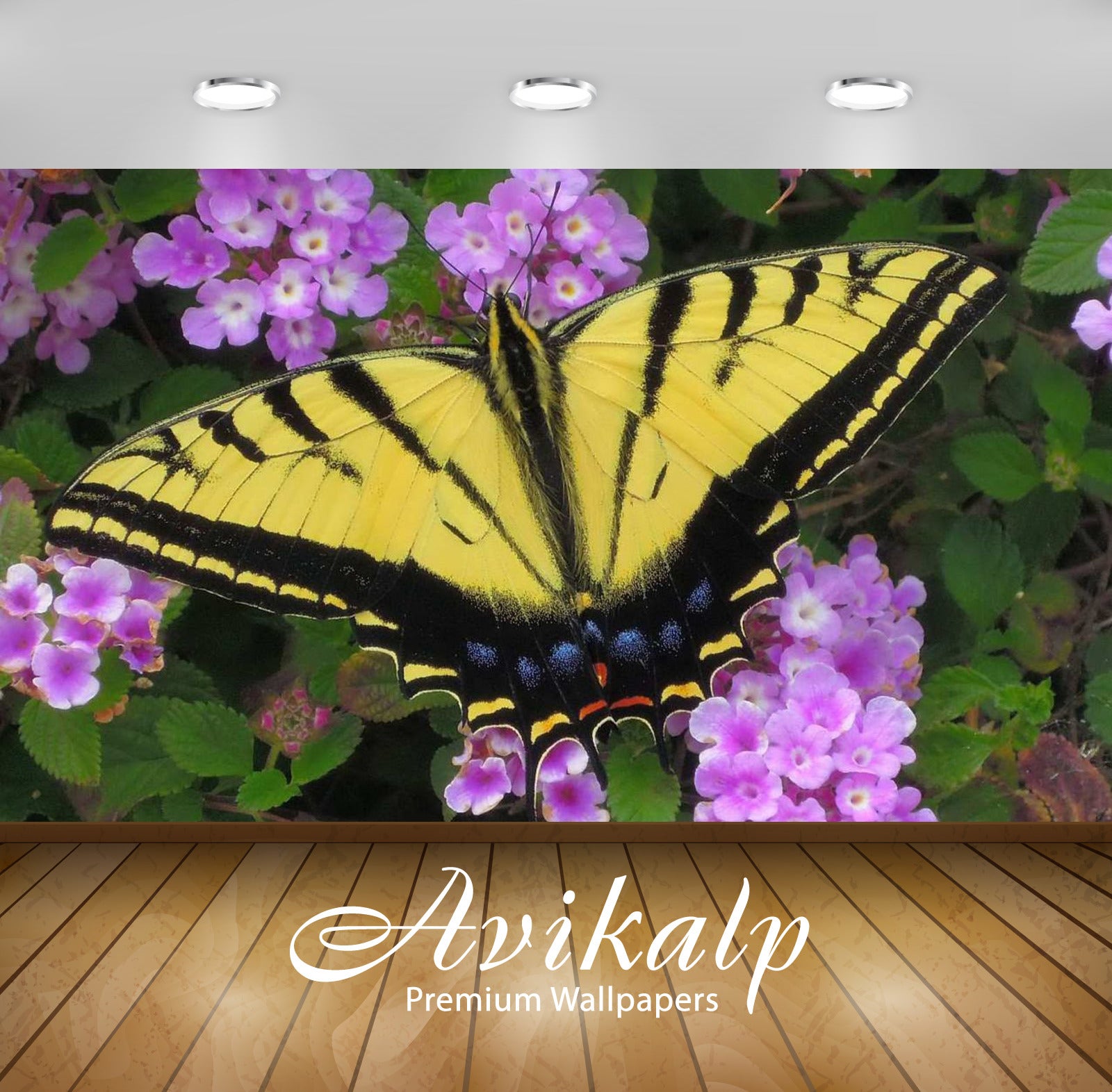 Avikalp Exclusive Awi3114 Swallowtail Butterfly Flower Core Yellow And Black With Blue And Red Strip