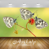 Avikalp Exclusive Awi3147 Three Black And White Butterflies On Fruit Wild Strawberry Full HD Wallpap