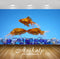 Avikalp Exclusive Awi3148 Three Golden Fish Pebbles Full HD Wallpapers for Living room, Hall, Kids R