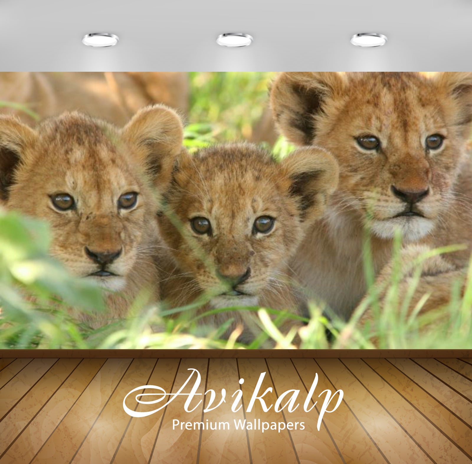 Avikalp Exclusive Awi3150 Three Young Lions In The Green Grass Tanzania Kamp Elewana Full HD Wallpap