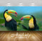 Avikalp Exclusive Awi3154 Toucan Exotic Colorful Bird Full HD Wallpapers for Living room, Hall, Kids